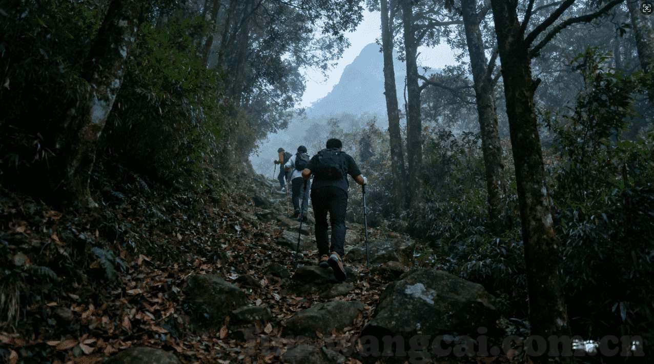 亚洲顶级娱乐场金沙-亚洲顶级娱乐场金沙，娱乐与奢华的交汇点