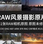 足球即时比分 新浪-足球即时比分新浪，球迷的实时战报指南与深度解析